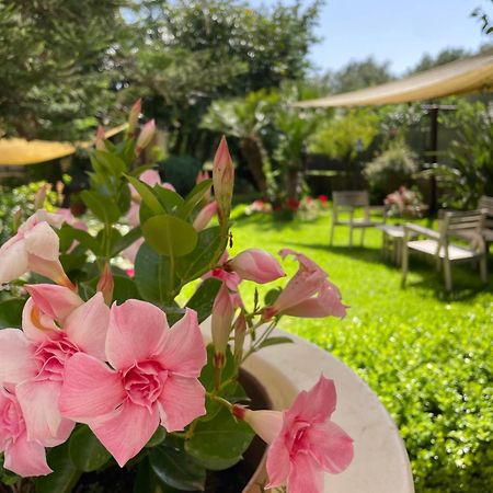 Hotel Residence Da Carmelo Palinuro Εξωτερικό φωτογραφία