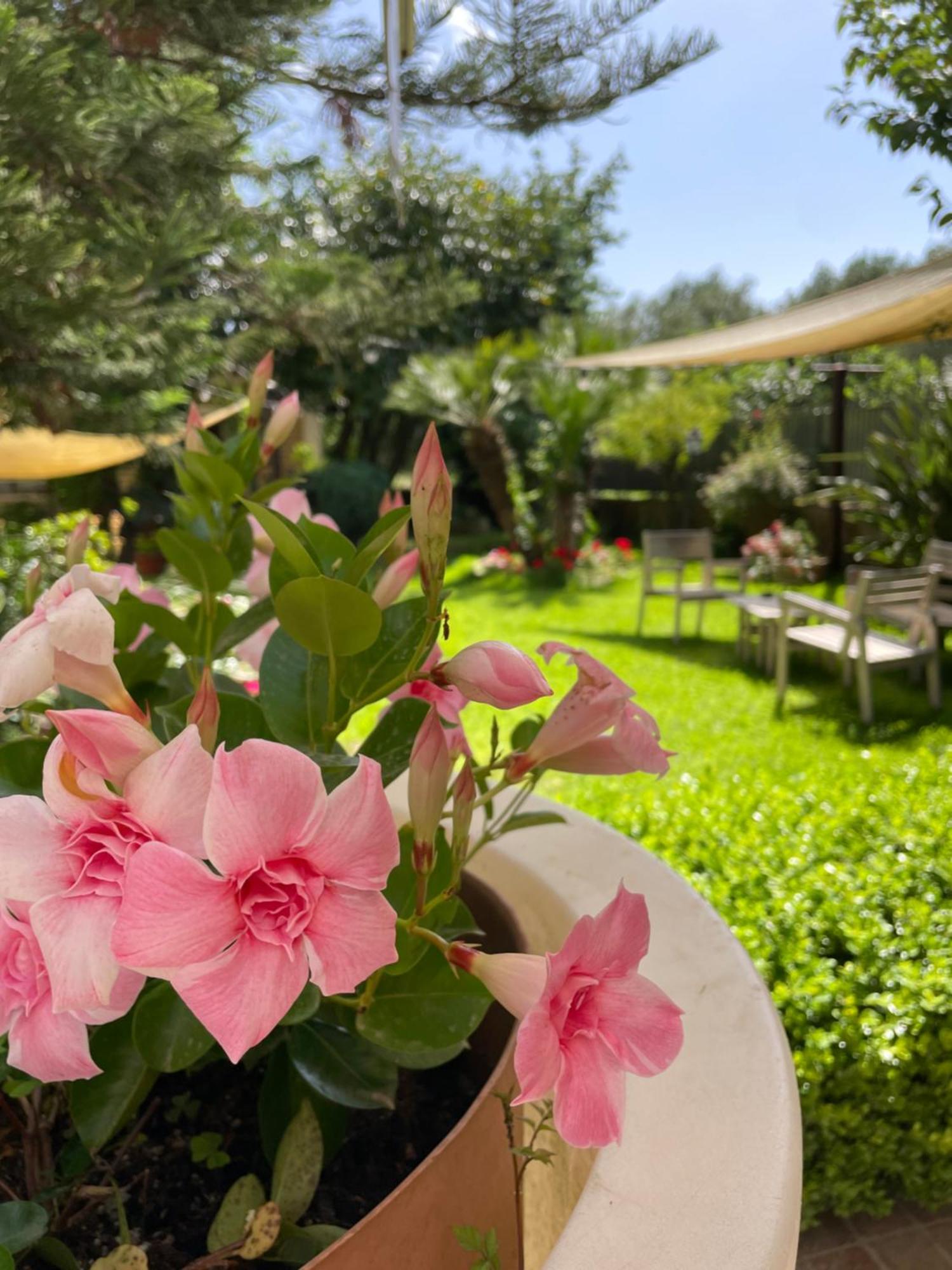 Hotel Residence Da Carmelo Palinuro Εξωτερικό φωτογραφία